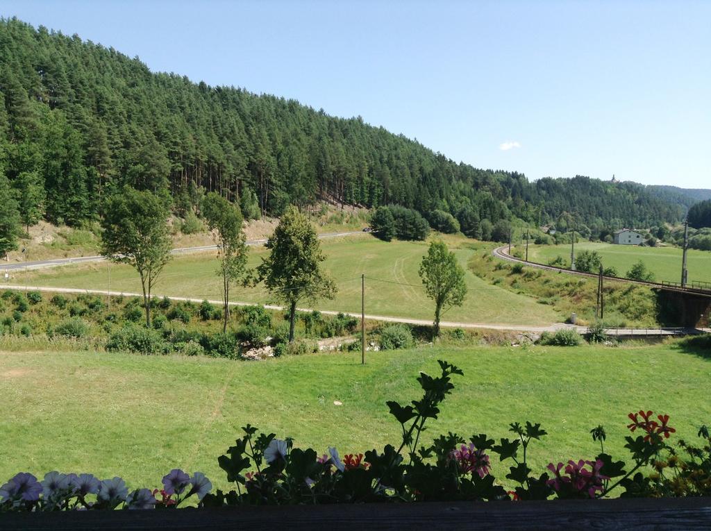 Gasthof Zur Haltestelle Lasberg Cameră foto